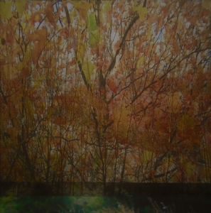 fotografie en schilderijen