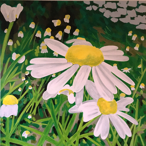 Schilderijen geinspireerd op het natuur en wandelgebied Korte Broek te Vaassen. 
Sterk ingezoomd op bloemen en/of grassen en zo een iets surreel geabstraheerde weergave van de werkelijkheid gemaakt. 
