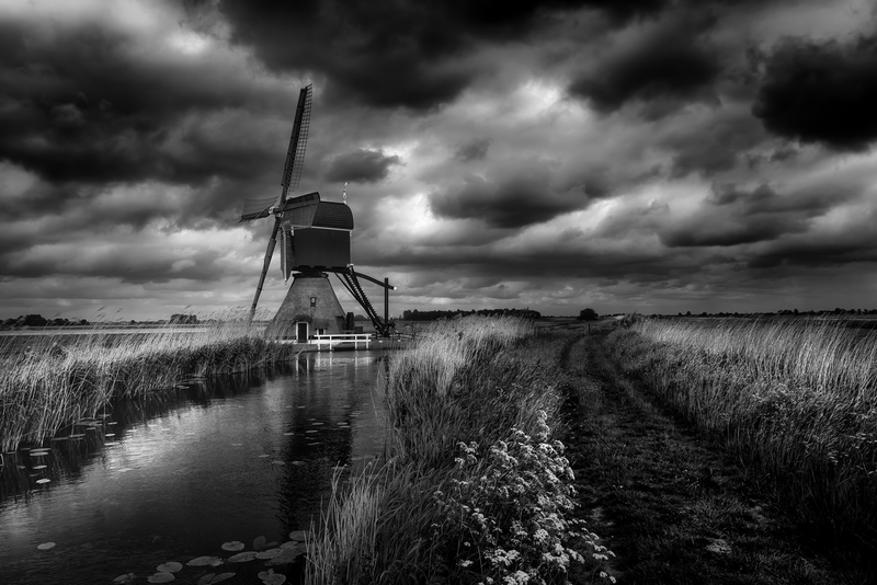 Dutch Mill