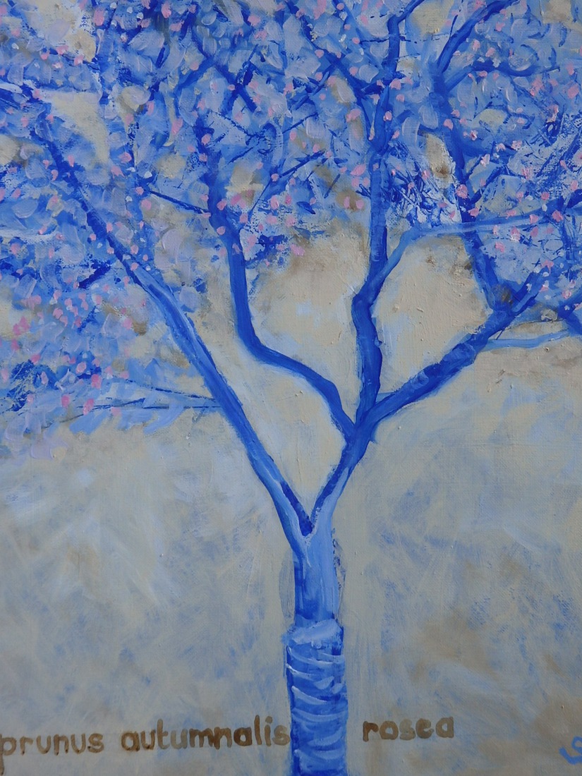 prunus autumnalis