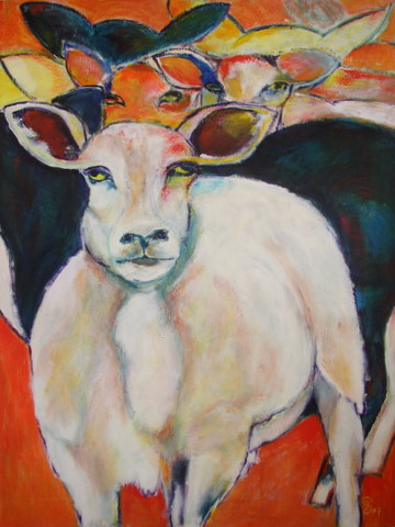 wit schaap van voren