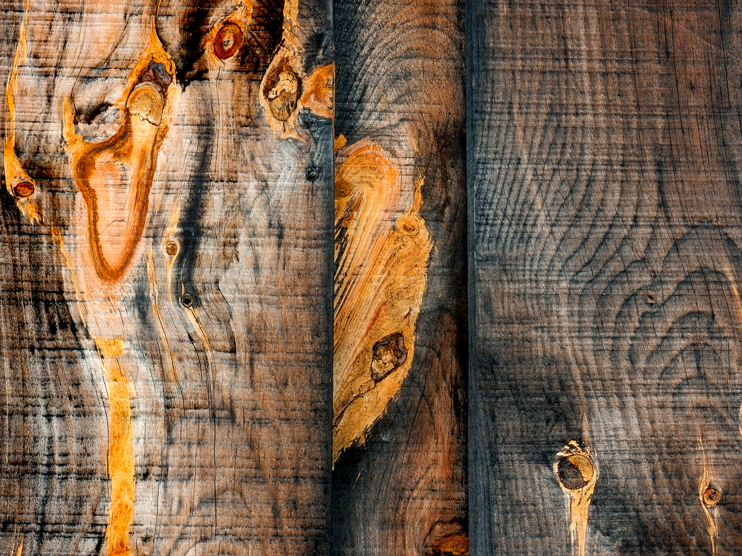 Hout