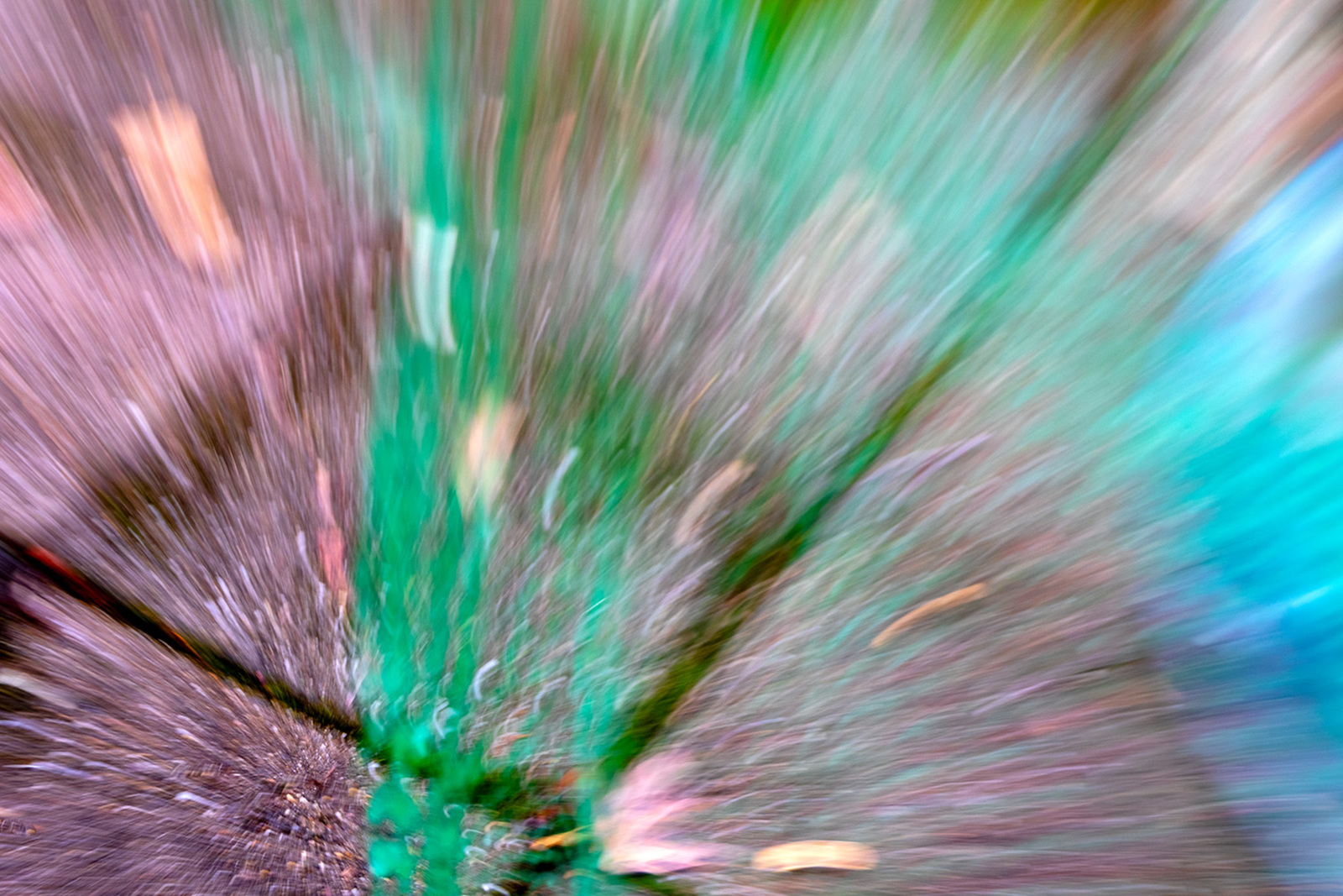 Beweging camera 1