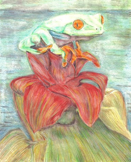 at the butterfly ball