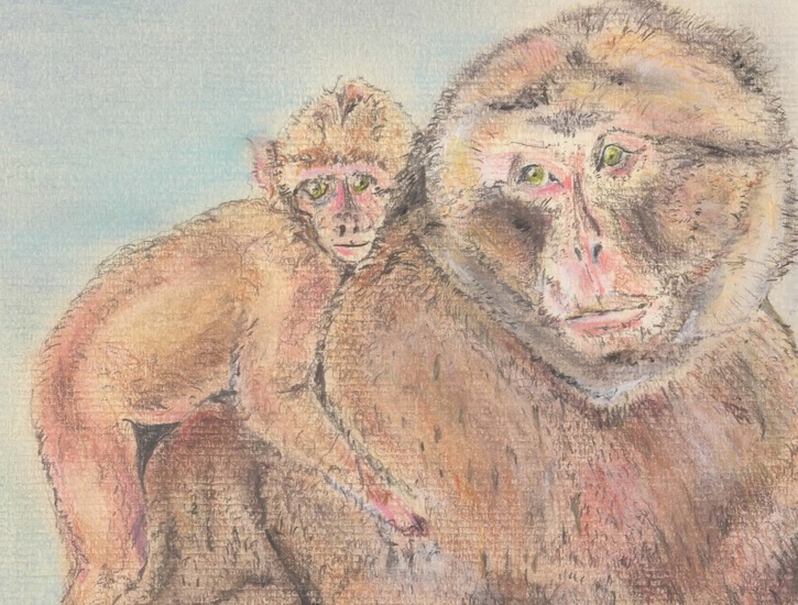 Wat lijkt ie toch op z'n moeder