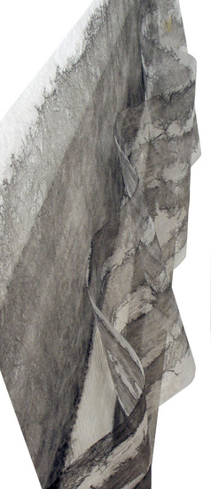 Site view of Current