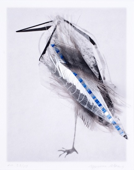 Heron 10