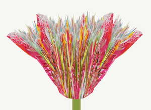 Voor deze digitale prints heb ik een eigen techniek ontwikkeld, waarbij ik zowel met de hand als digitaal werk. 