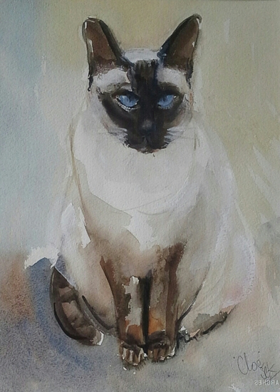 Siamese kat, Cloë,aquarel,