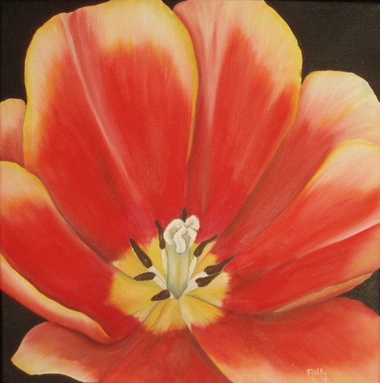 Tulp rood-geel