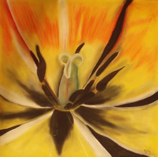Tulp geel-rood