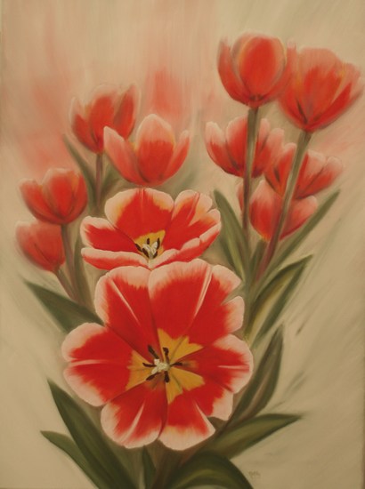 Tulpen rose-rood