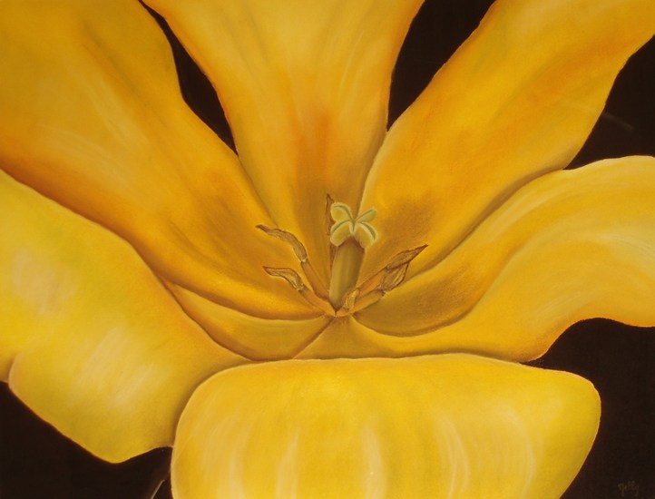 Tulp geel
