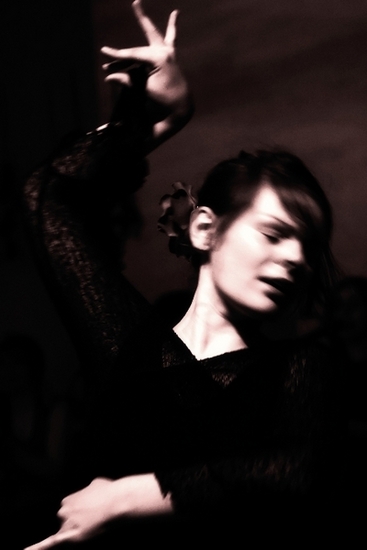 Passion of Flamenco 17