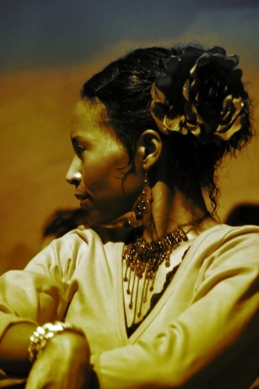 Passion of Flamenco 14