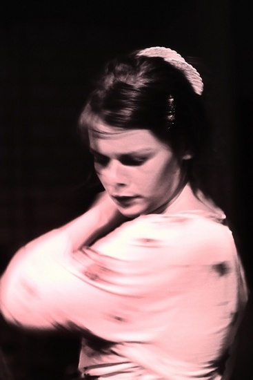 Passion of Flamenco 11