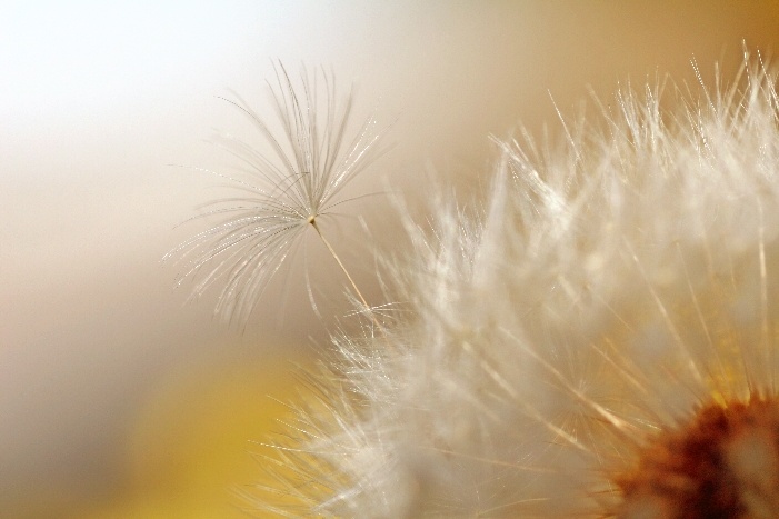 Trying to break free 7