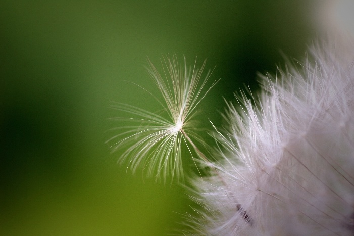 Trying to break free 6