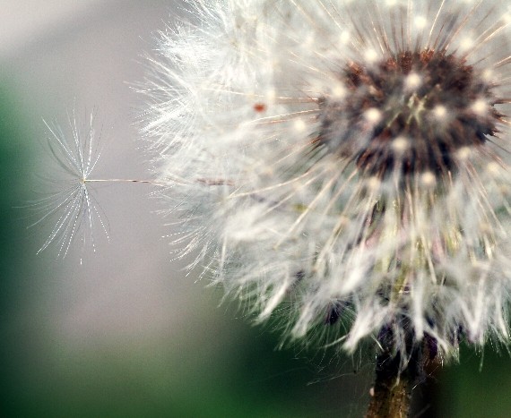 Trying to break free 4