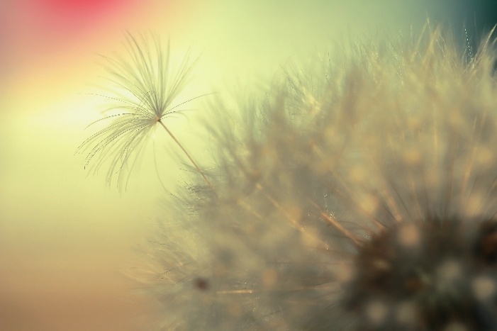 Trying to break free 8