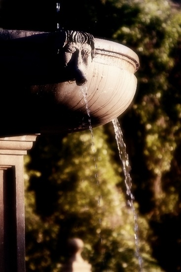 The spring of youth 9
