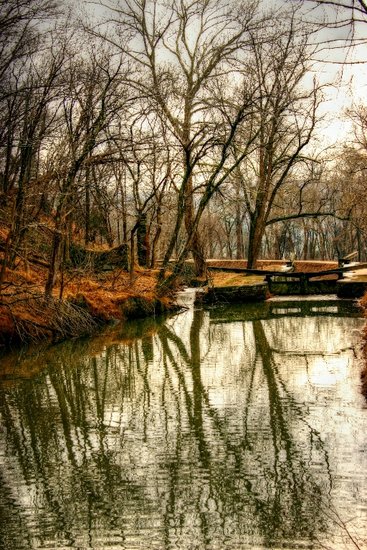 A walk in the park 2
