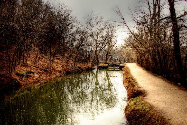 A walk in the park 3