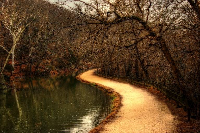 A walk in the park 4