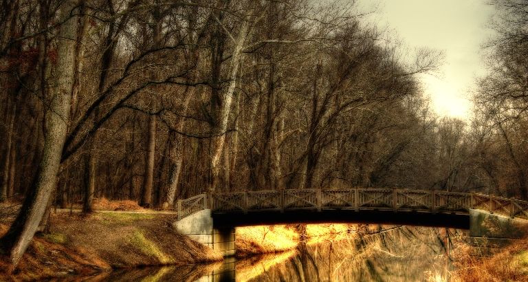 A Walk in the park 7