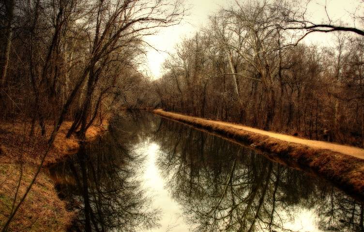 A Walk in the park 8