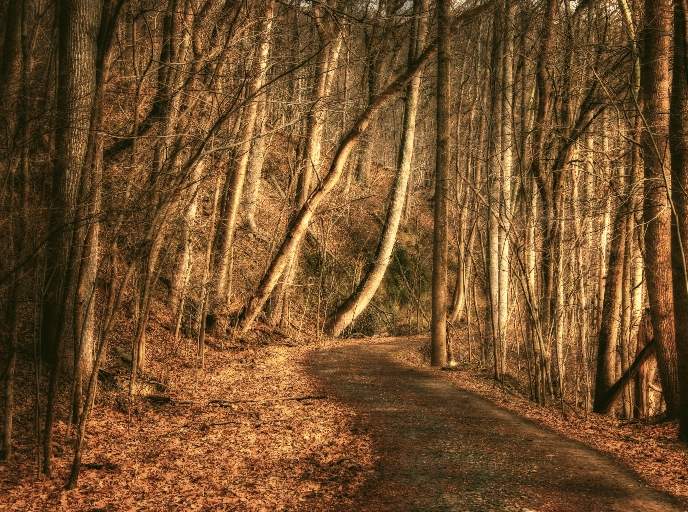 A Walk in the park 9