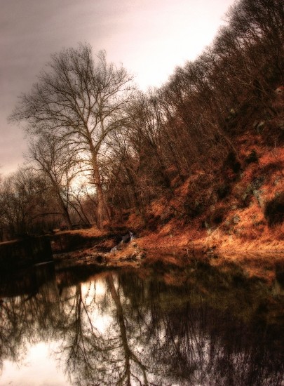 A Walk in the park 10
