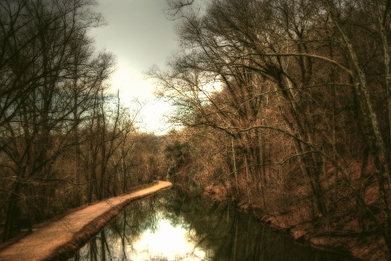 A Walk in the park 11