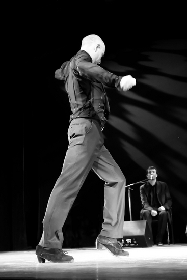 The Passion of Flamenco 8