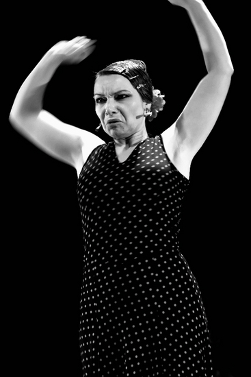 The Passion of Flamenco 2