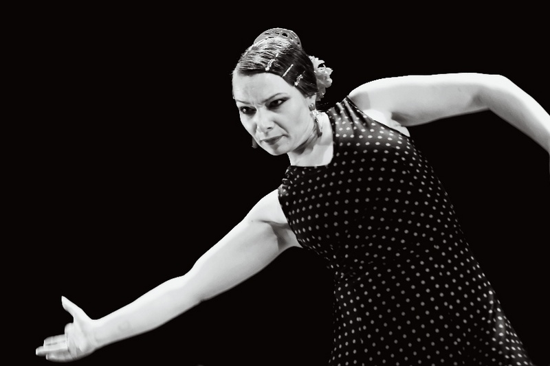 The Passion of Flamenco 3