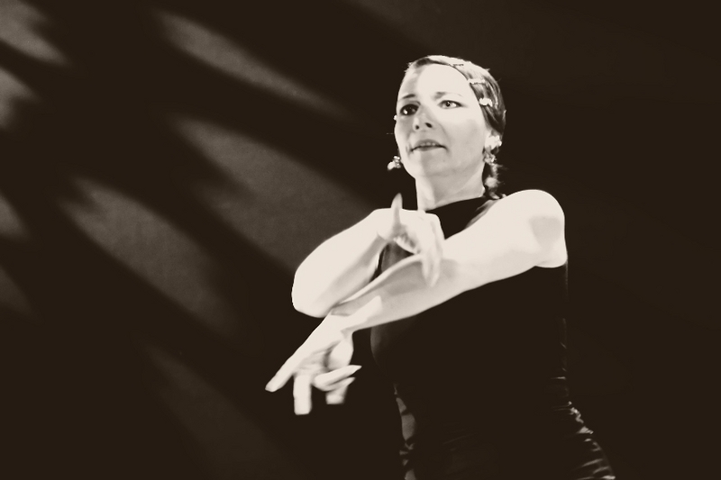 The Passion of Flamenco 4