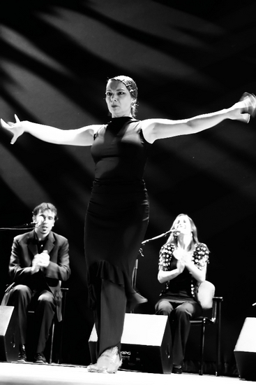 The Passion of Flamenco 5