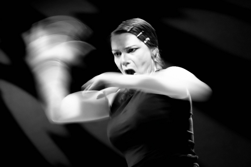 The Passion of Flamenco 6