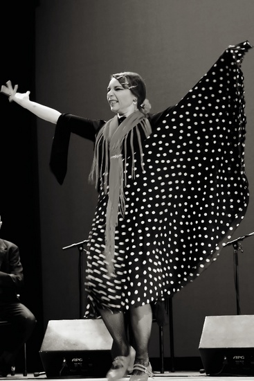 The Passion of Flamenco 9