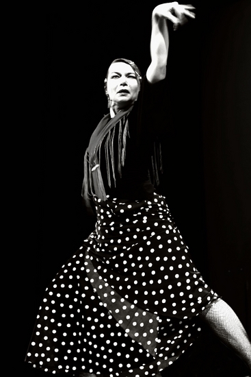 The Passion of Flamenco 10