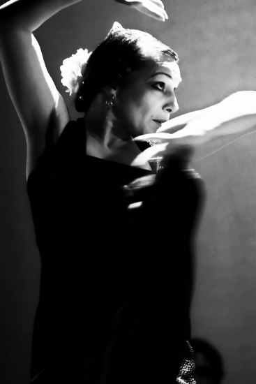 The Passion of Flamenco 11