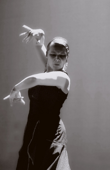 The Passion of Flamenco 12