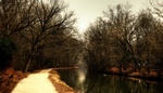 A walk in the Park