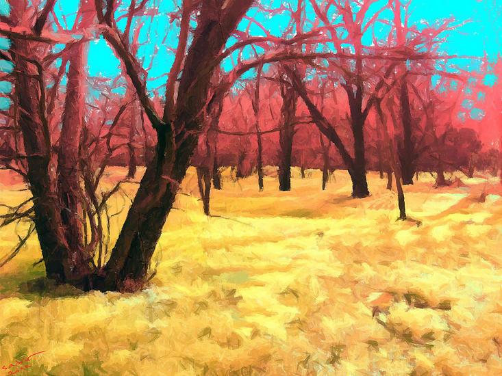 Waiting for sun,37