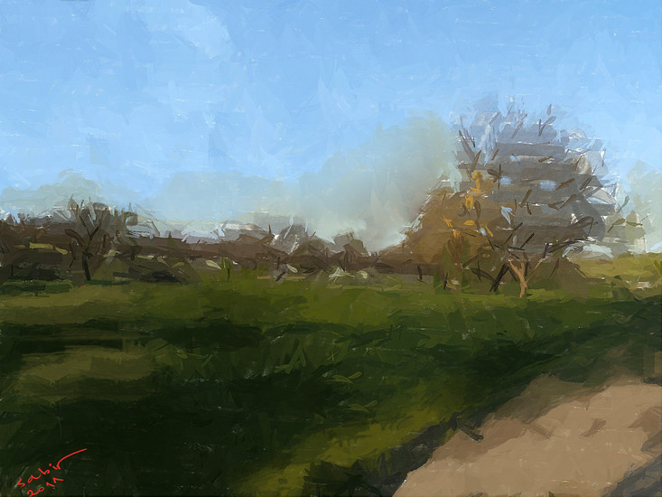 Waiting for sun,39