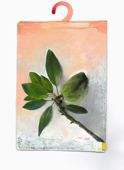 Transparent plastic #4