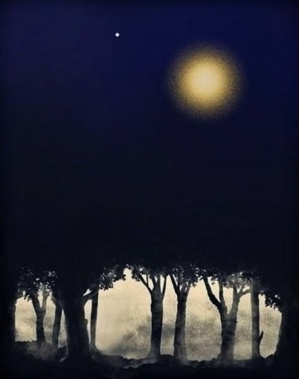 The moonlight life cycle #16