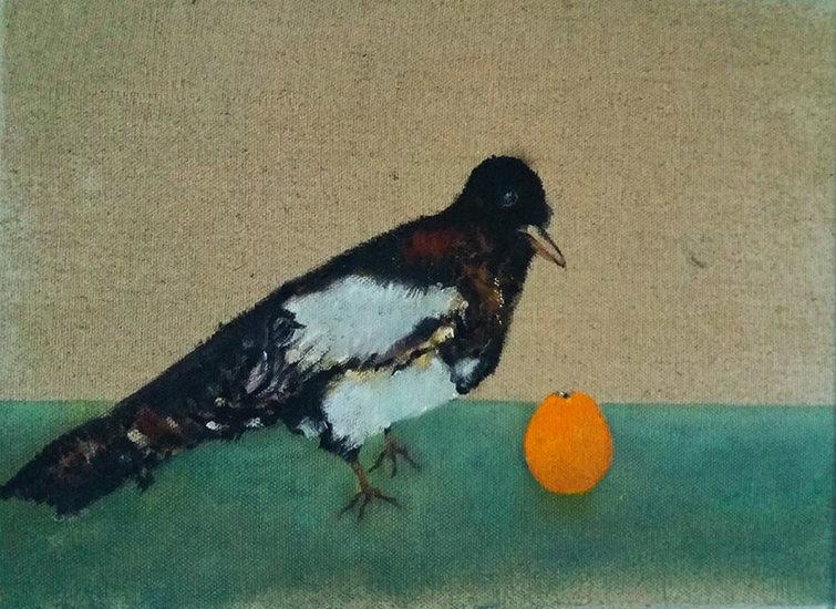 The birds with orange #4