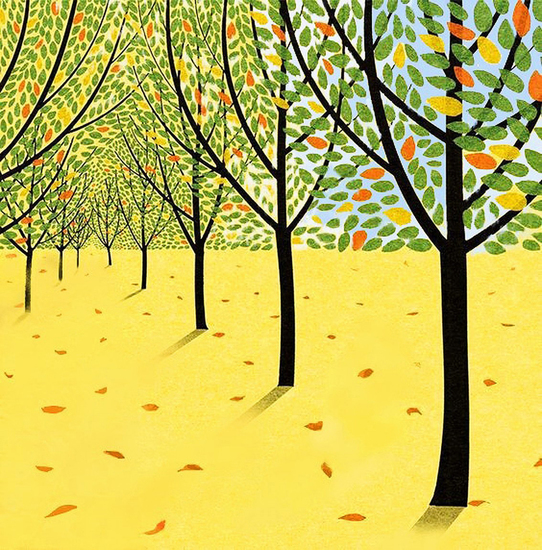 Autumn leaf color of nature #68